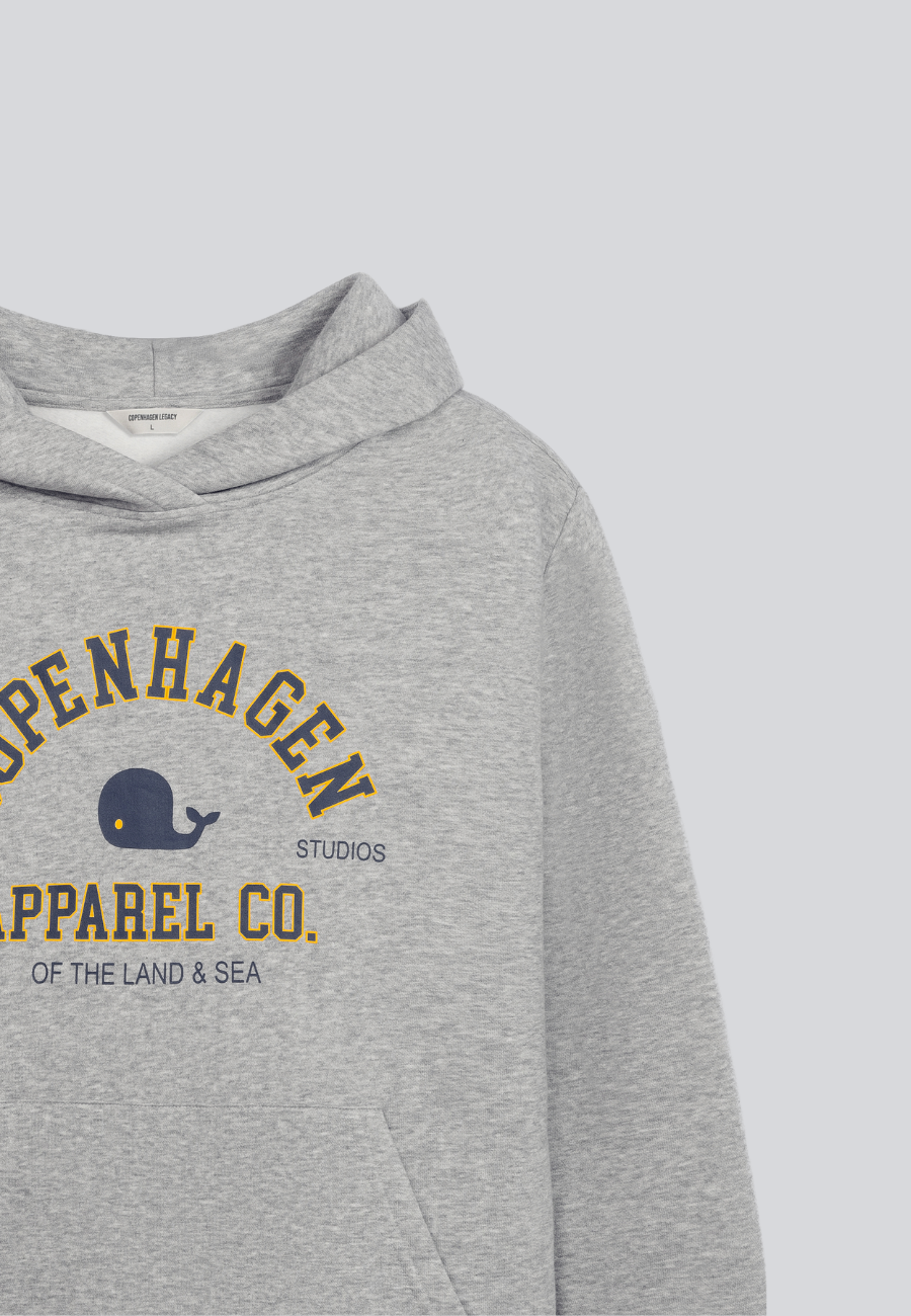 Hoodie Sweatshirt Grey Melange With Print
