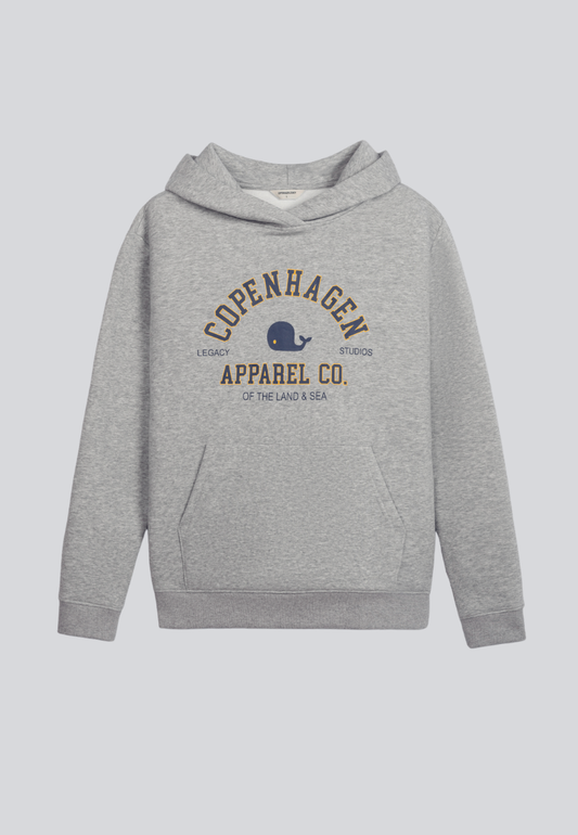 Hoodie Sweatshirt Grey Melange With Print