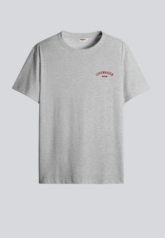 2-pakke T-shirt til mænd i grå og marineblå med print